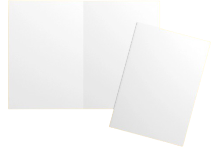 Custom bifold brochure for care agencies removebg preview