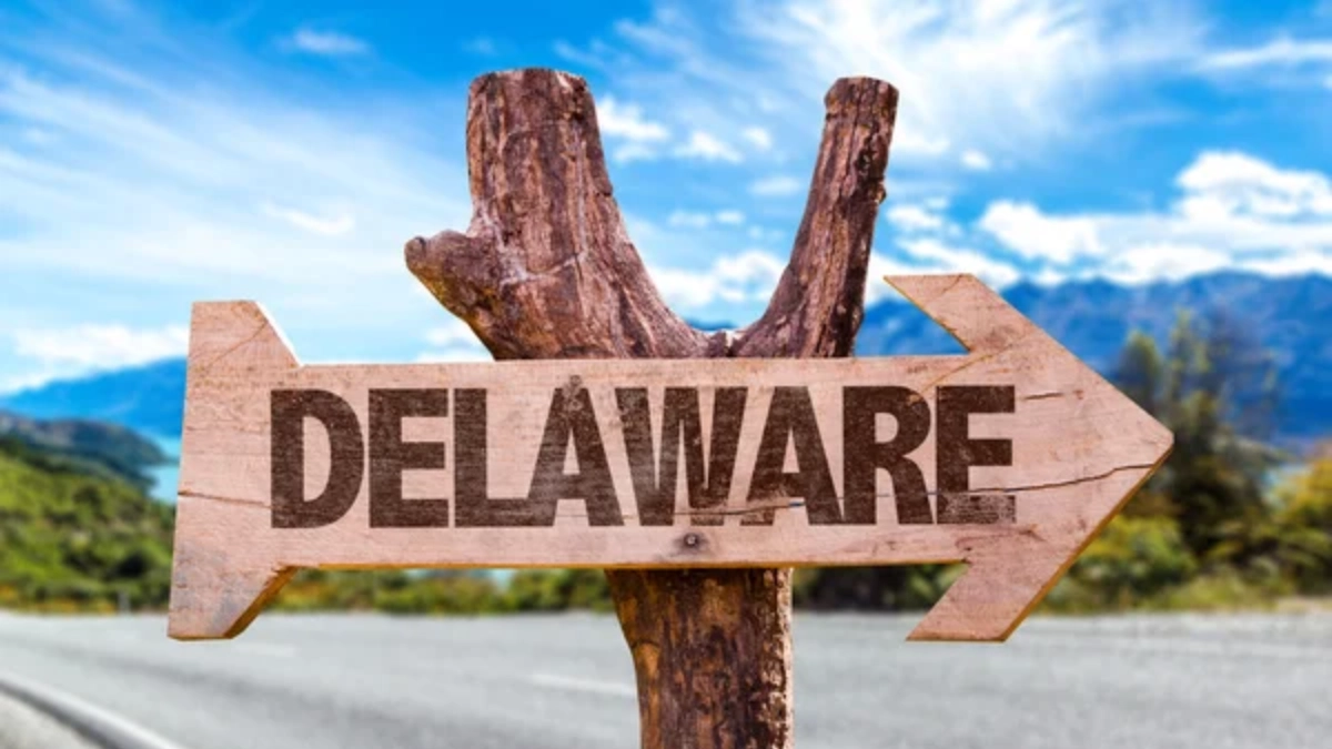 USA 8 Delaware image