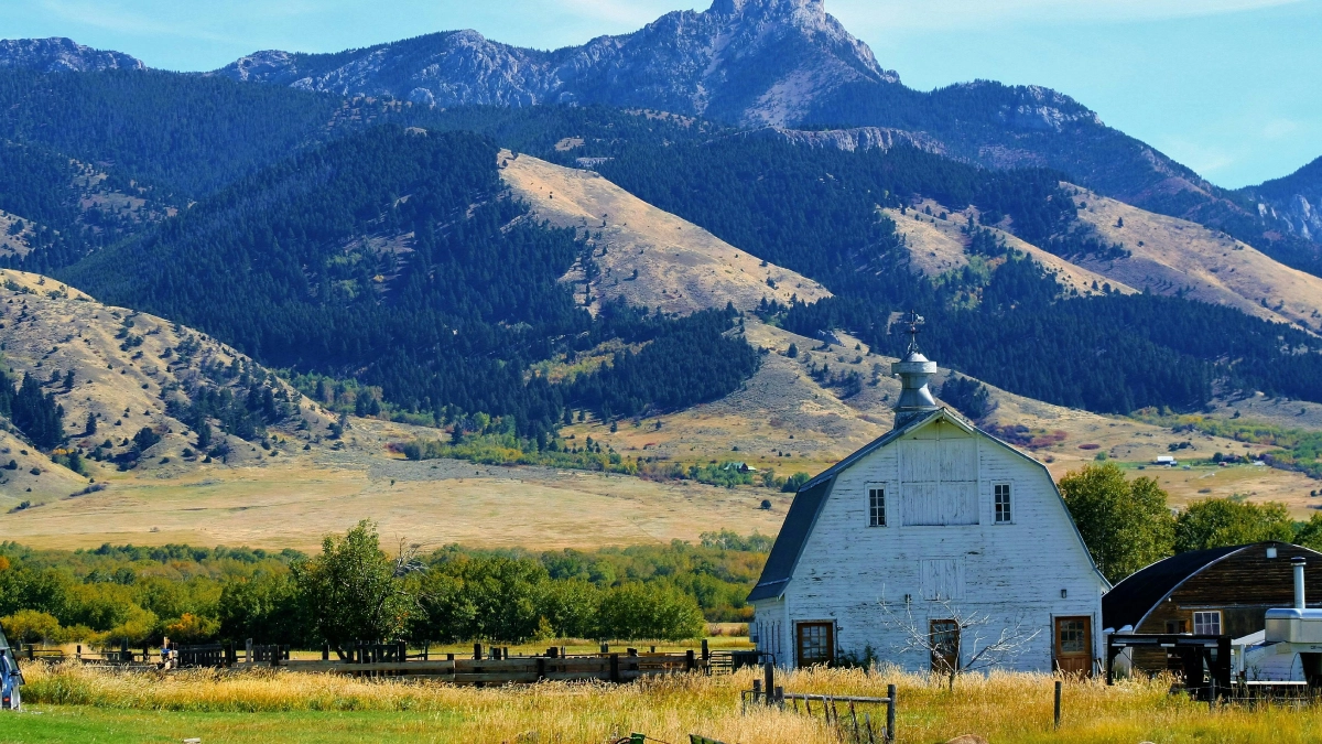 USA 26 Montana image