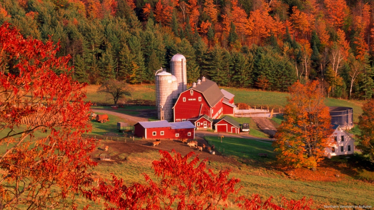 USA 45 Vermont image